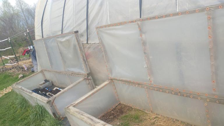 Greenhouse attached cold frames for starting seeds in soil blocks.  We've got in ground pink radish an spinach in 1 of them, seed starts in the other.