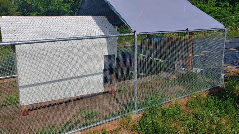 Chicken Cage Complete with roll away nest box, automatic door, feed and water devices