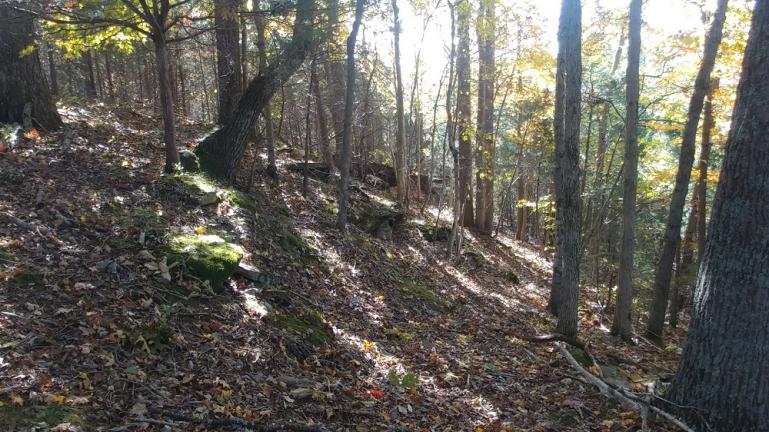 fall woodland trail 10-30-18
