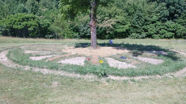 June '18 Garden of the Sun.  this is host to plants that love to grow with Walnut and that birds love to eat.  The Sunflowers will stand through winter and we will be placing a slew of bird houses in the tree.  The layout is a working sundial.