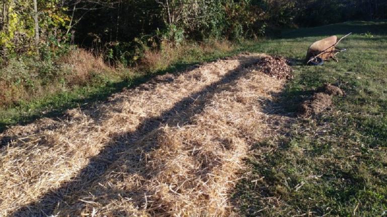 We "composted" all of our winter kitchen scraps on the garlic bed and occassionally added a little more straw or leaves.