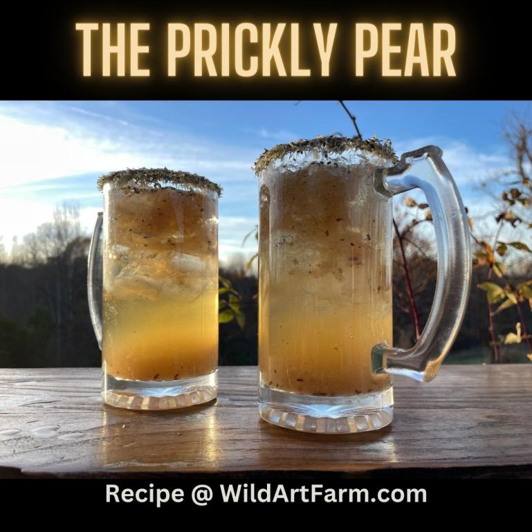 The Prickly Pear Spilanthes Cocktail