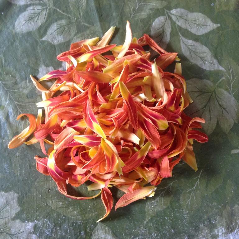 wildcrafted yummy day lilly petals