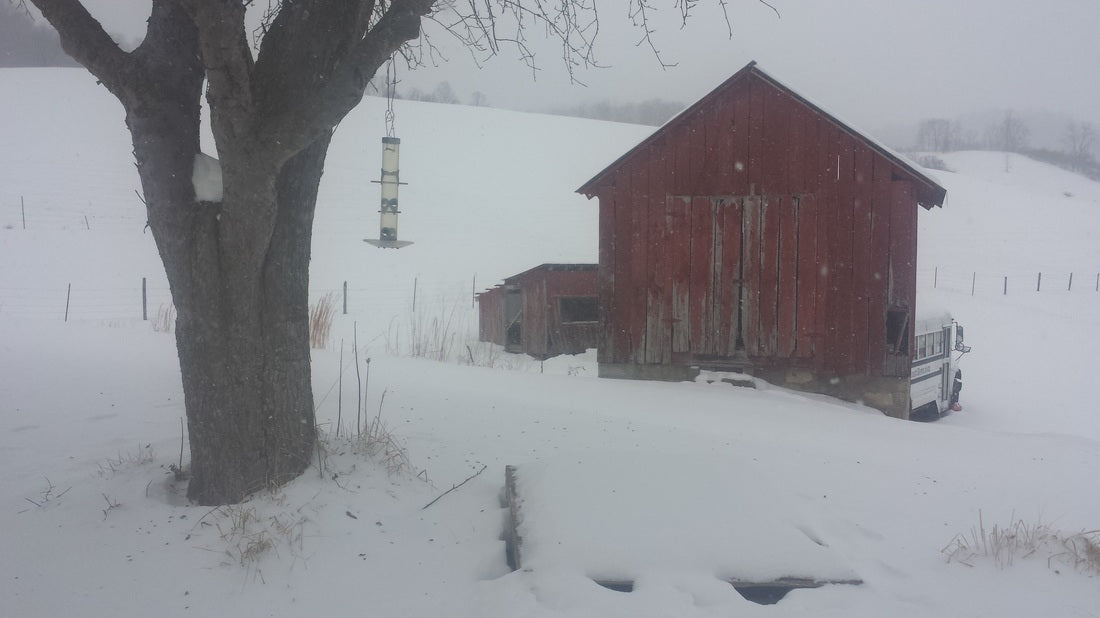 Winter Planning