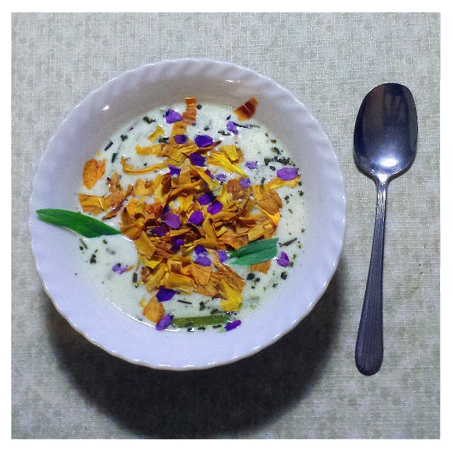 Wild Daylily Soup