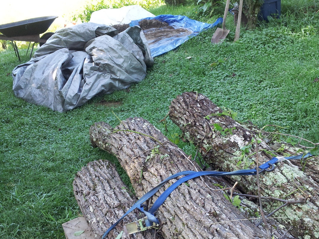 Current Projects in Various Stages of Completion