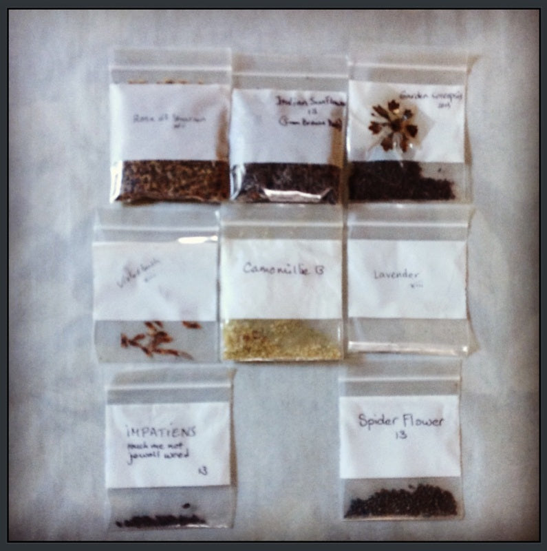 seeds and stuff