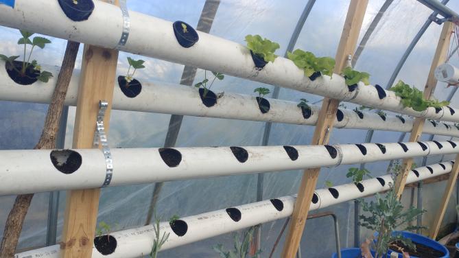 WAF 2.1 Upgrades and New Tricks