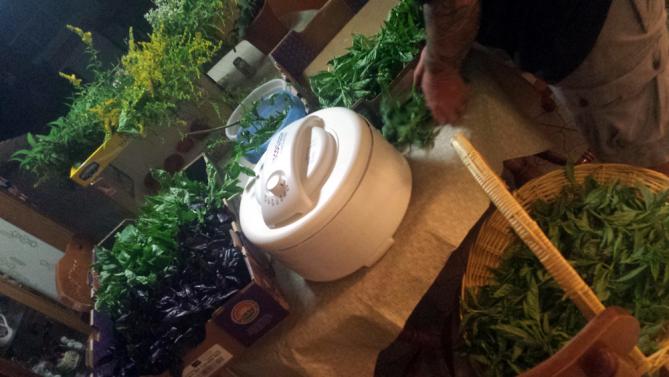 Winter Cooking with Dehyrated Produce