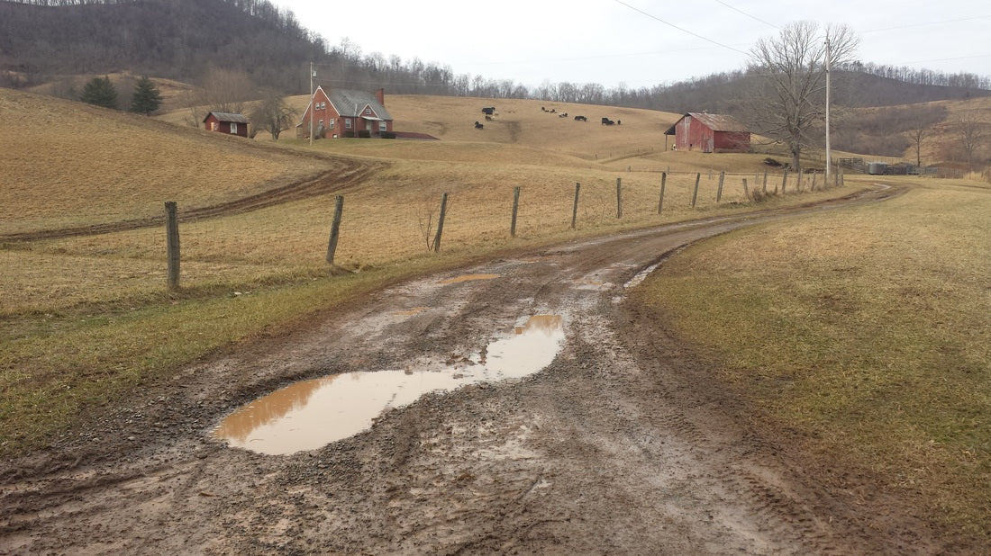 The Driveway