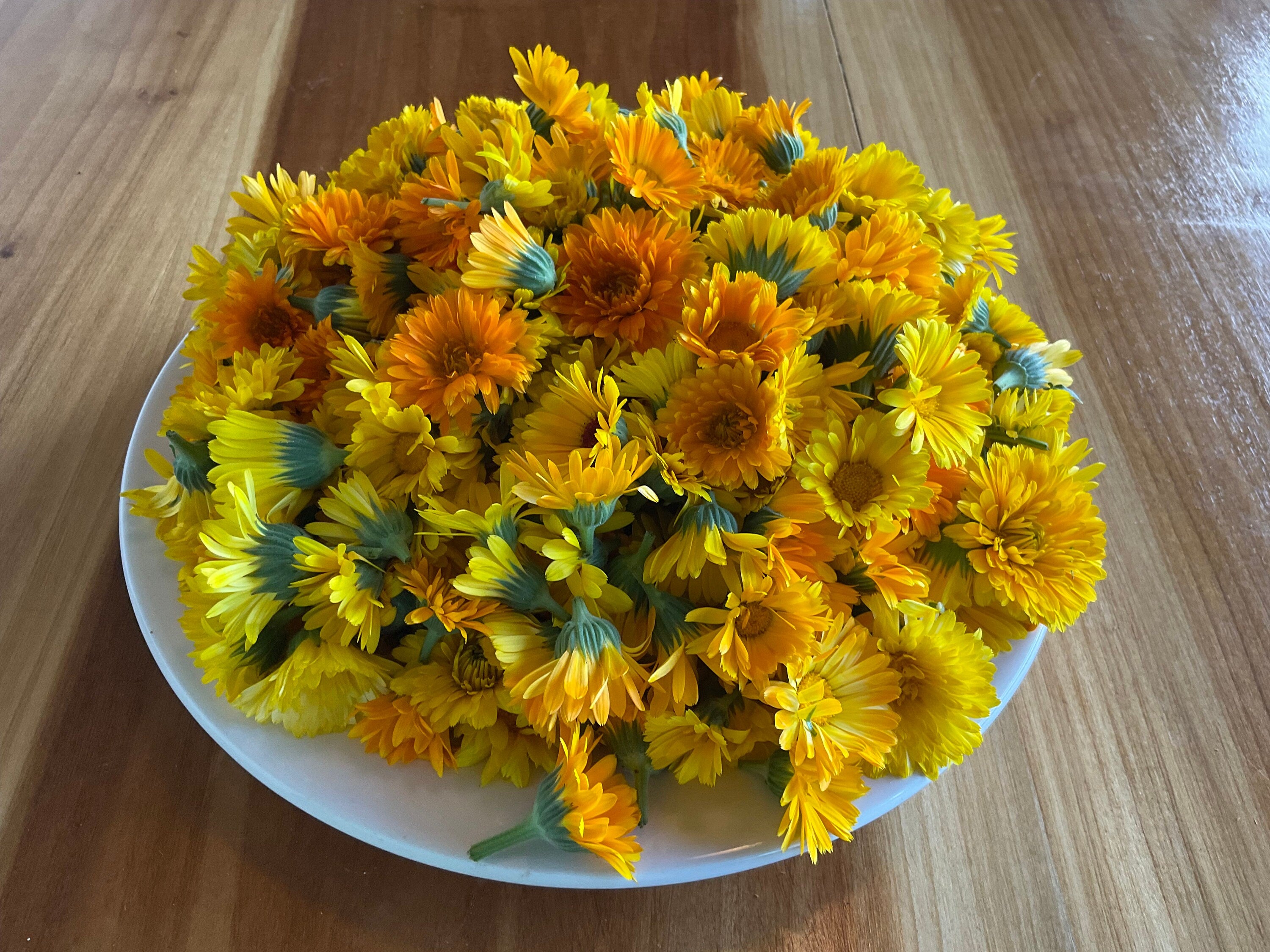 Calendula Flowers, Dried Whole, Pesticide Free