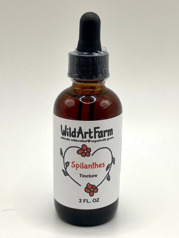 Spilanthes Tincture 2oz / 4oz / 8oz Organic