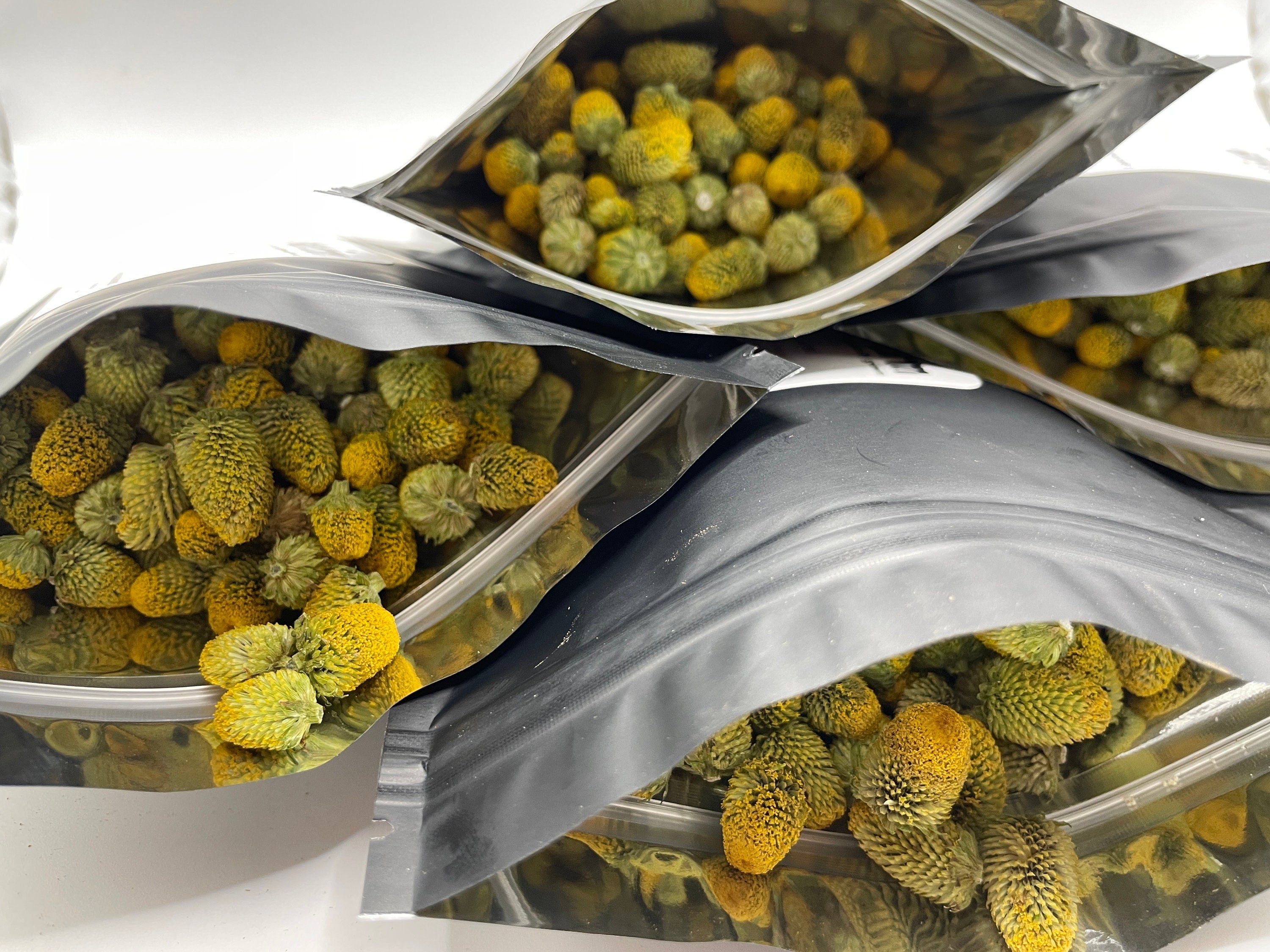 Spilanthes Tincture Infusion Flowers for home remedies and creative cocktails