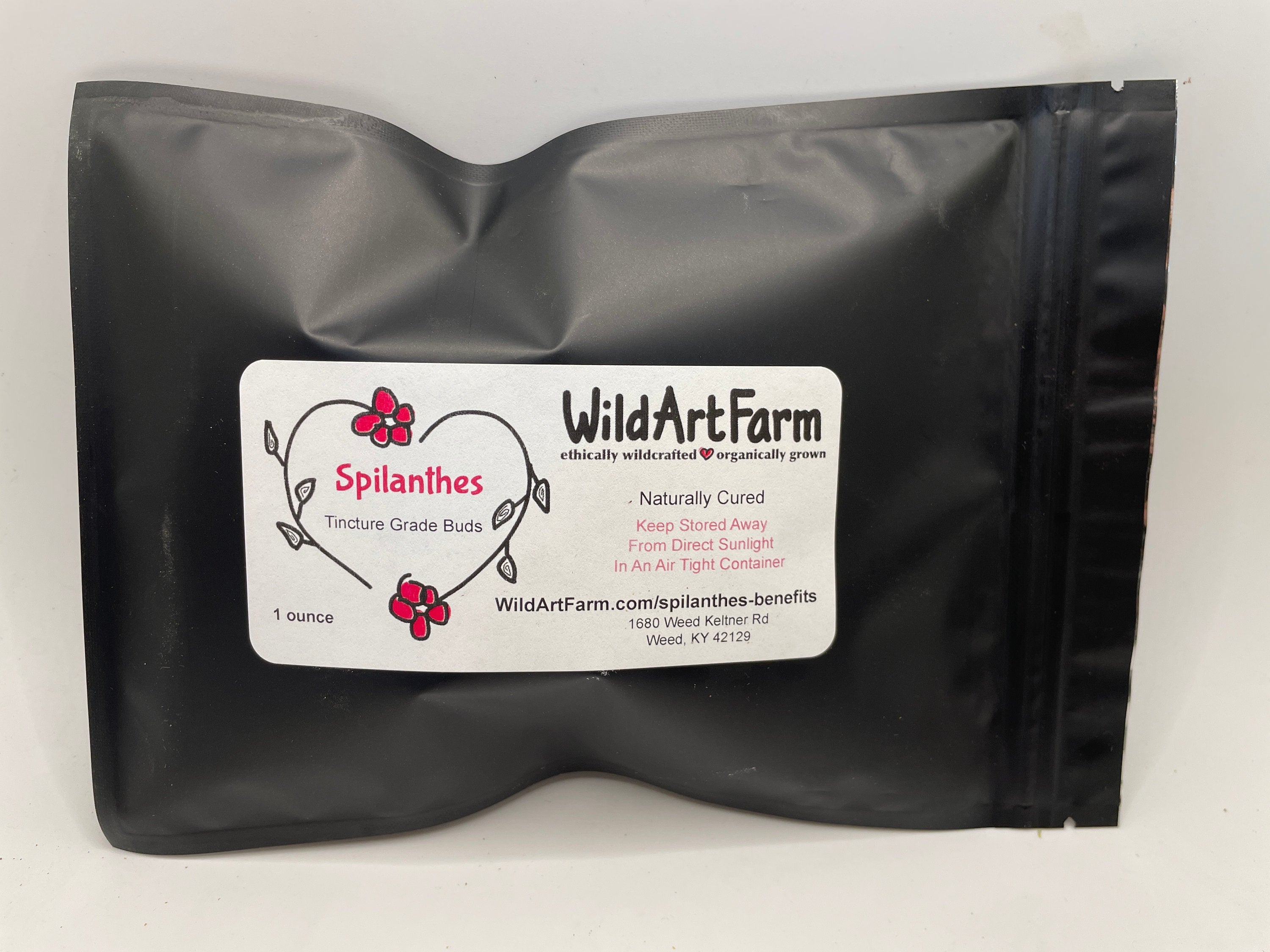 Spilanthes Tincture Infusion Flowers for home remedies and creative cocktails