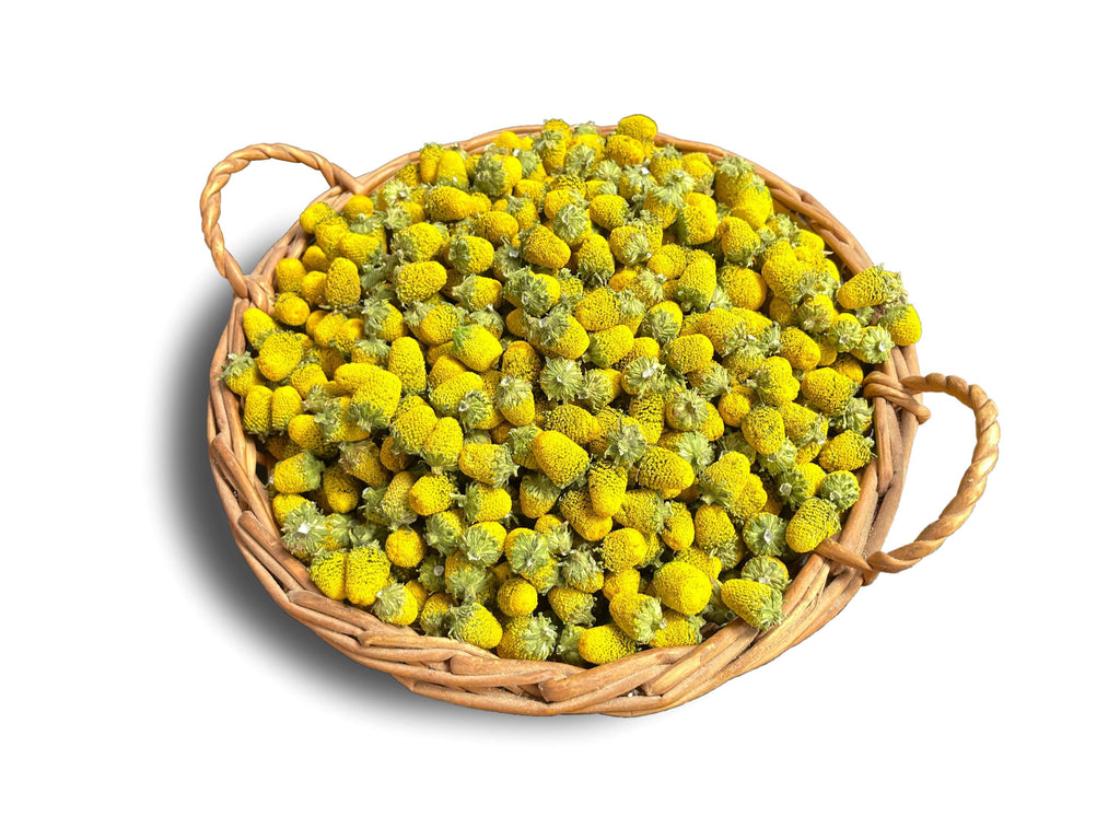 Organic Buzz Buttons: Herbal Cocktail Garnish Edible Spilanthes Flowers