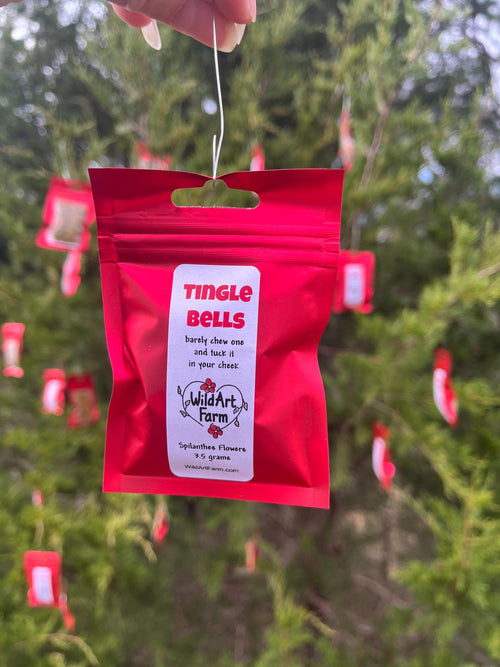 Buzz Buttons Organic Edible Spilanthes Flowers - Electric Love Nuts & Tingle Bells