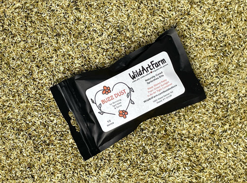 Buzz Dust Organic Spilanthes Buzz Buttons for Cocktail Garnish Rims