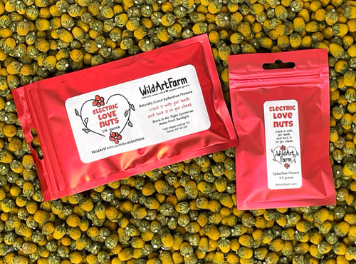 Buzz Buttons Organic Edible Spilanthes Flowers - Electric Love Nuts & Tingle Bells
