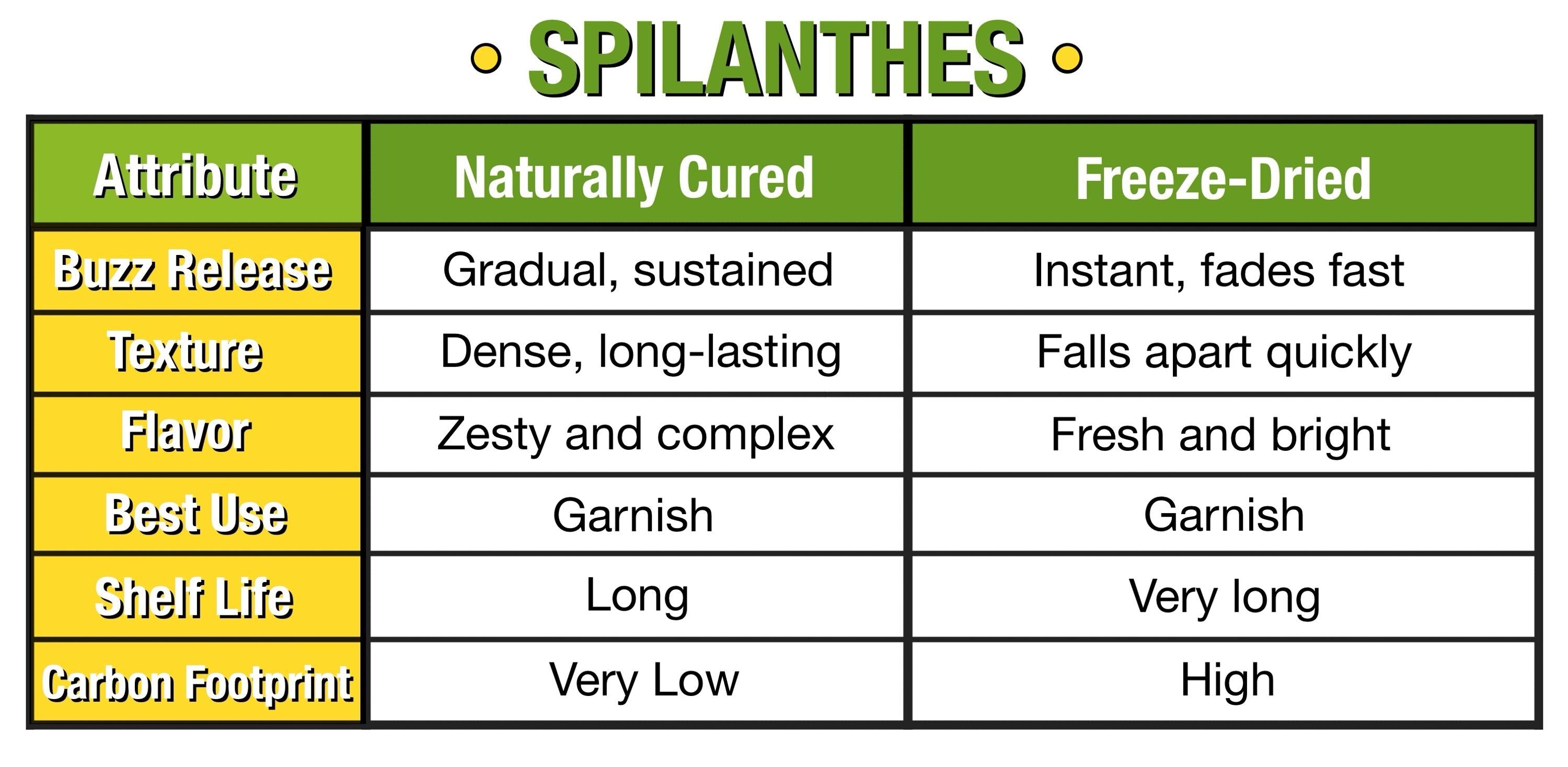 Buzz Button FREAKS, Spilanthes edible flowers