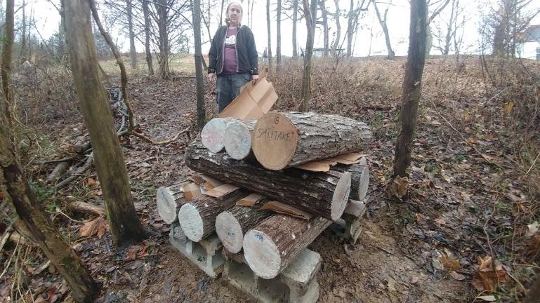 Mushroom logs placed in the woods 1-4-19