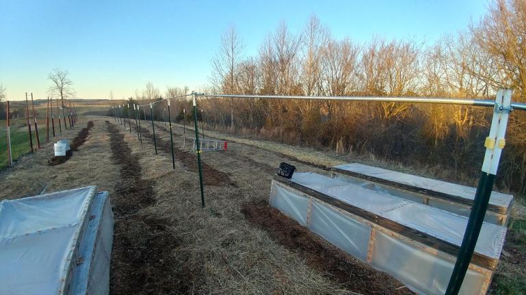 Tomato trellis set up and garden rows marked by putting sawdust down on the paths.    2-2-20 