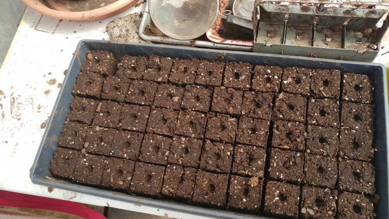Compressed soil block for seed starting eliminates a lot of crappy disposable plastic and gives the transplants an easier transition.