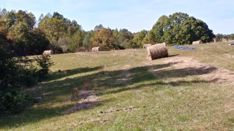 Hay rolls positioned by the fruit & nut contour lines for swale buildingt 10-24-18