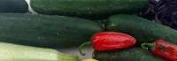 Market More Cucumbers