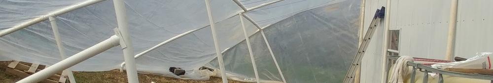 The 1st version of the greenhouse lasted until it was hit with a late heavy snow fall and collapsed.