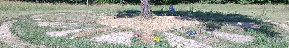 June '18 Garden of the Sun.  this is host to plants that love to grow with Walnut and that birds love to eat.  The Sunflowers will stand through winter and we will be placing a slew of bird houses in the tree.  The layout is a working sundial.
